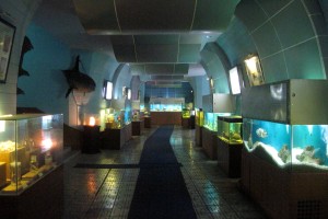 Океанографический музей Нячанг