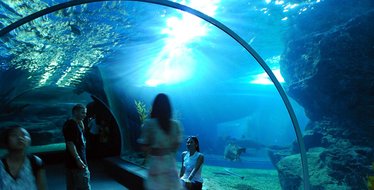 Aquarium in Pattaya