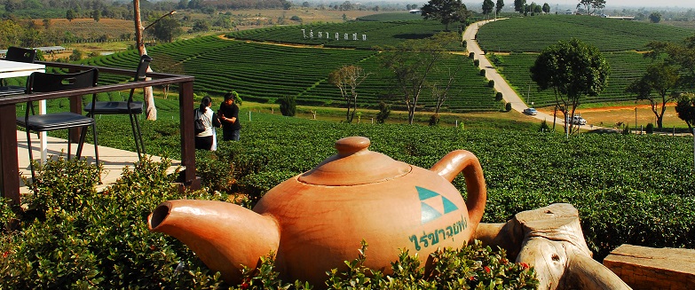 Чай в Таиланде