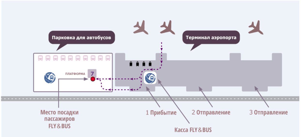Схема движения на автобусы в аэропорту Симферополя