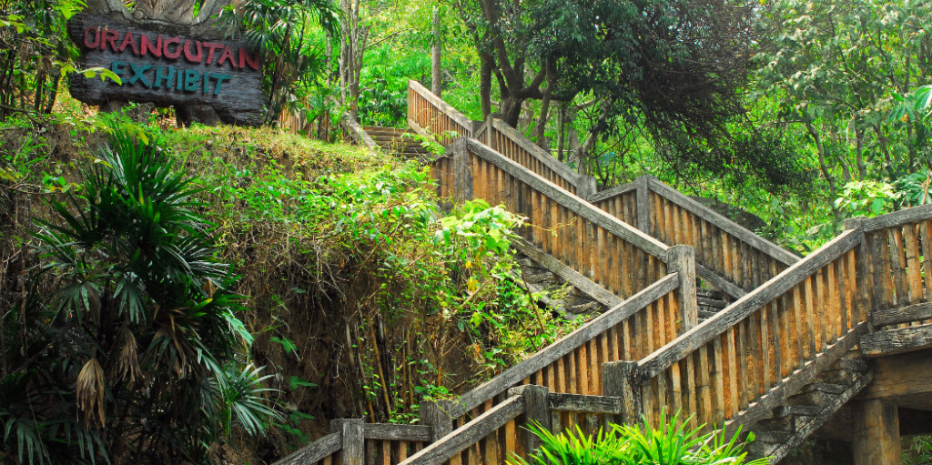 KHAO KHEOW OPEN Zoo