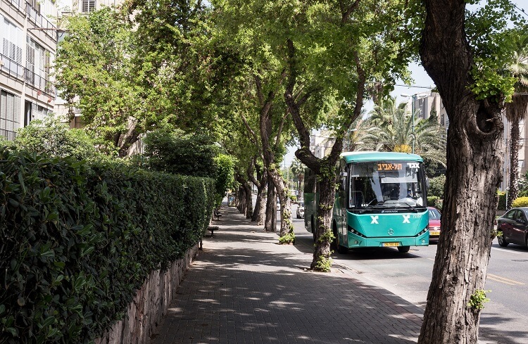 Автобус Тель Авив